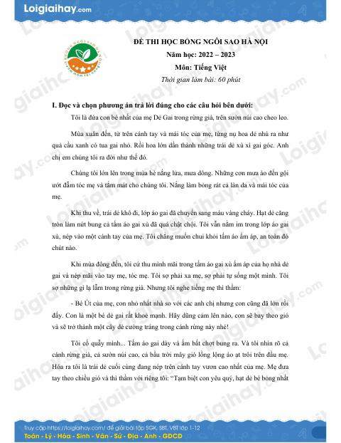 Đề thi vào lớp 6 môn Tiếng Việt trường Ngôi Sao 2022 có đáp án
